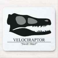 Velociraptor Skull
