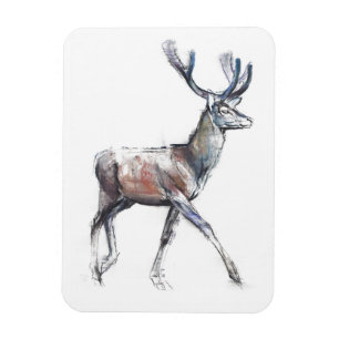 Velvet 2006 magnet