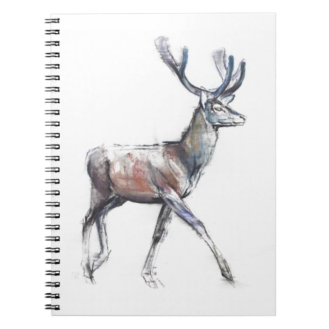 Velvet 2006 notebook (Front)