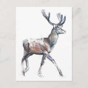 Velvet 2006 postcard