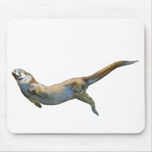 Velvet 2014 mouse mat