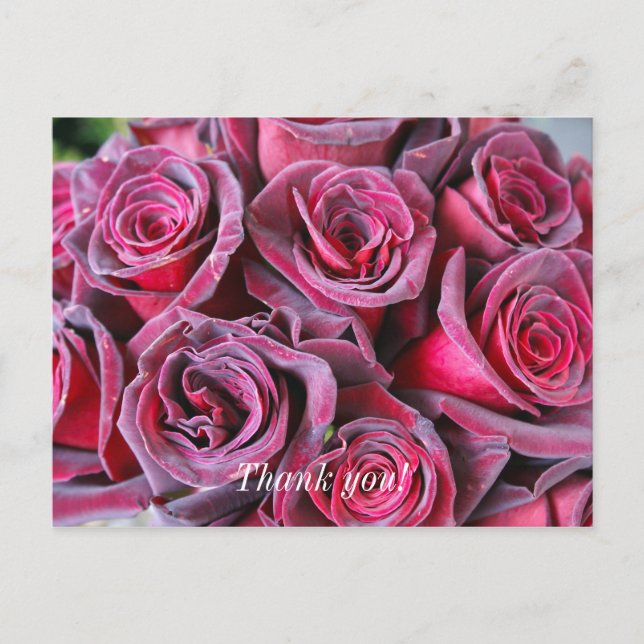 Velvet Beauty Thank You Postcard (Front)