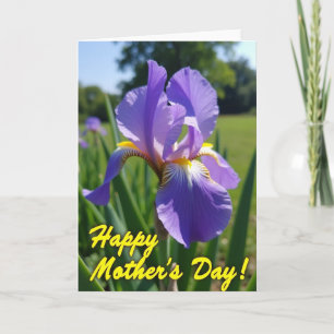 Velvet Bloom Pattern Card