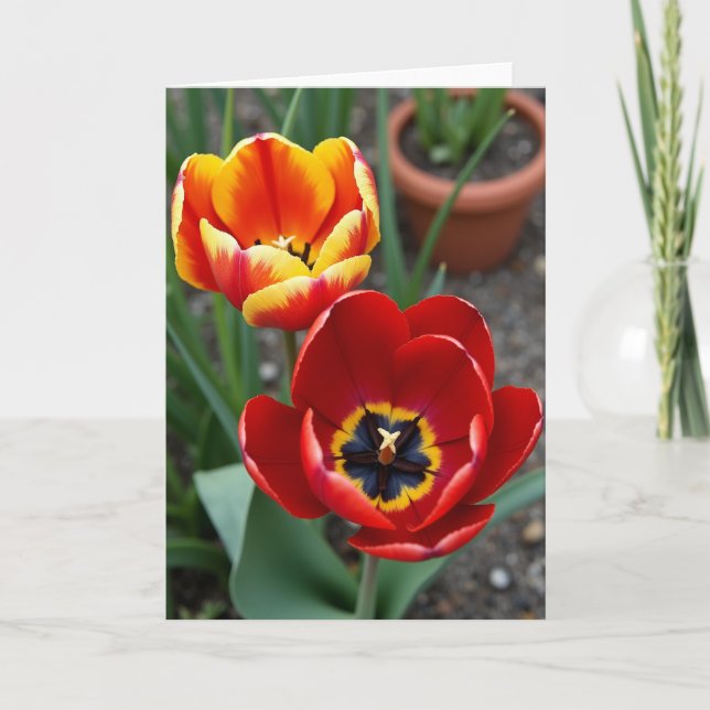 Velvet Blossom Birthday Card (Front)