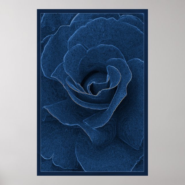 Velvet blue rose poster (Front)