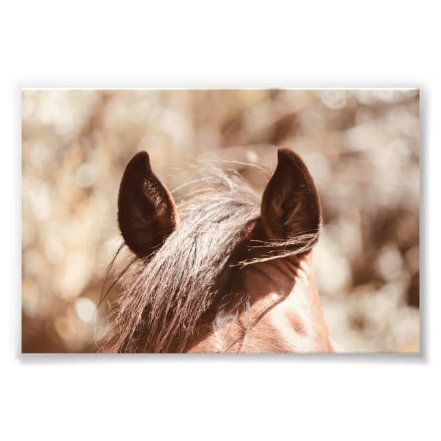 Velvet Brown Horse Ears And Bangs Photo Print (Front)