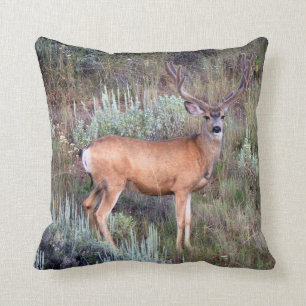 Velvet buck cushion