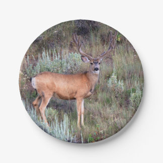 Velvet buck paper plate