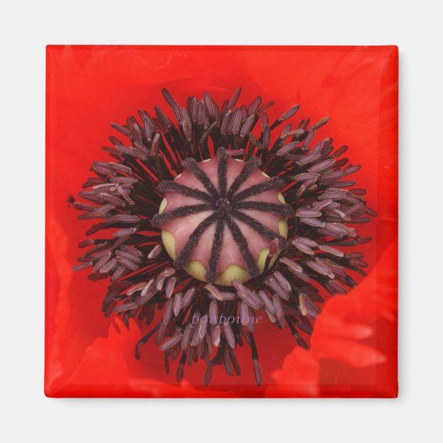 velvet core magnet (Front)