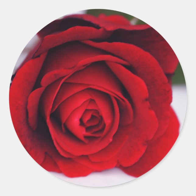 Velvet Fire Classic Round Sticker (Front)