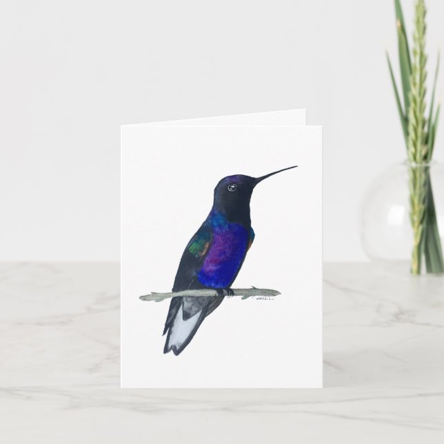 Velvet-purple Coronet Hummingbird Card (Front)
