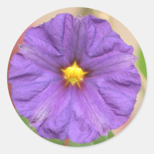 Velvet Robe Flower Classic Round Sticker