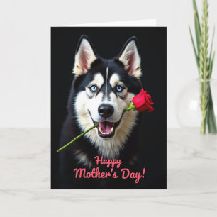Velvet Rose Canine Friend Card