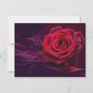 Velvet Rose Postcard