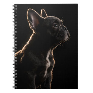 Velvet Silence Notebook