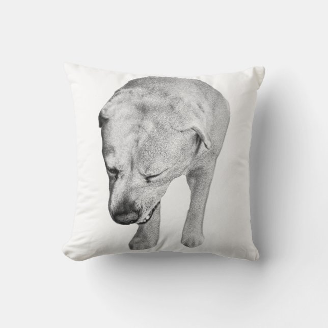 Velvet-Tone Labrador, Gentle Gaze Cushion (Front)