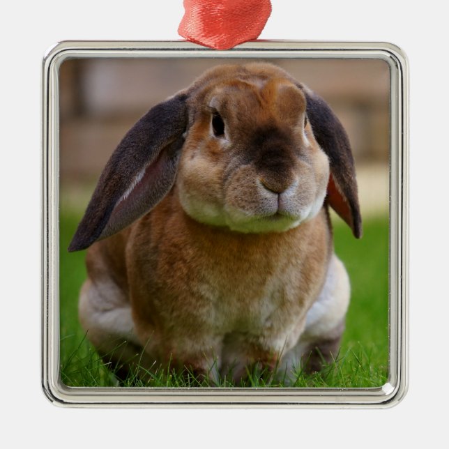 Velveteen Lop Bunny Rabbit Metal Tree Decoration (Front)