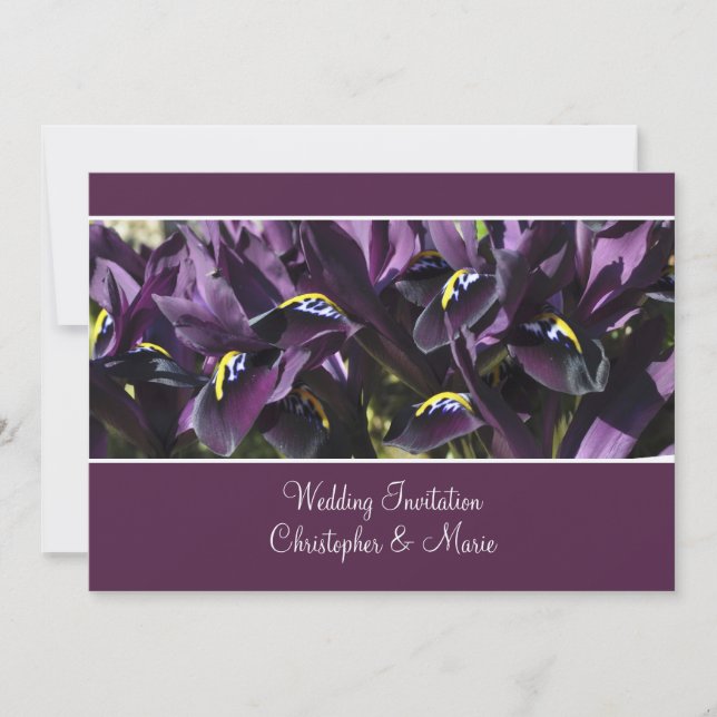 Velvety purple iris Wedding Invitation (Front)
