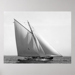 Vencedor Redux Poster