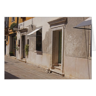 Venetian Dog