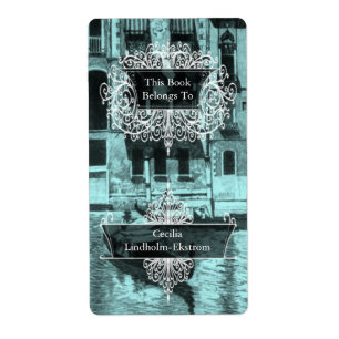 Venetian Monotone in Shades of Aqua & Black