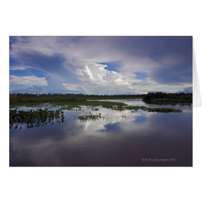 Venezuela, Delta Amacuro, Orinoco Delta (Front Horizontal)