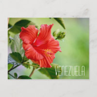 Venezuela hibiscus flower postcard