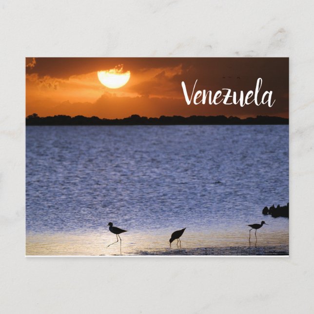Venezuela Sunset Postcard (Front)