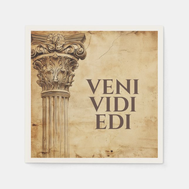 Veni Vidi Bibi Funny Ancient Rome Latin Saying Napkin (Front)