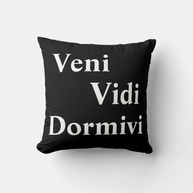 Veni Vidi Dormivi I came I saw I slept Cushion (Front)