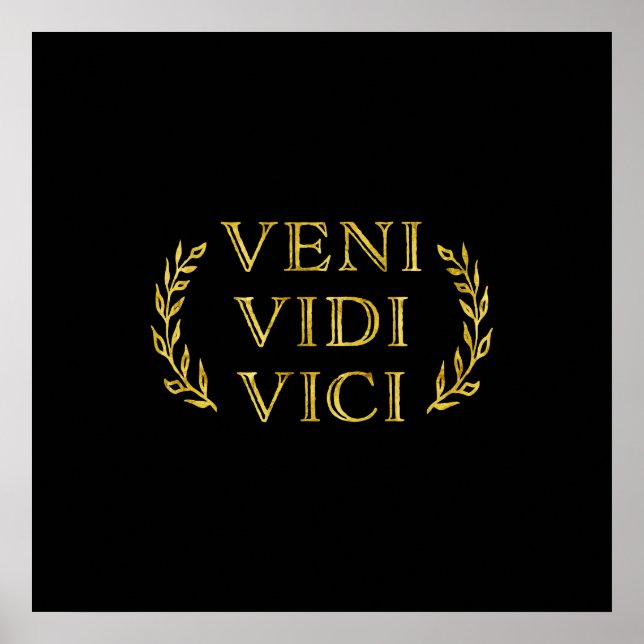 Veni Vidi Vici Funny Game Winner Poster (Front)