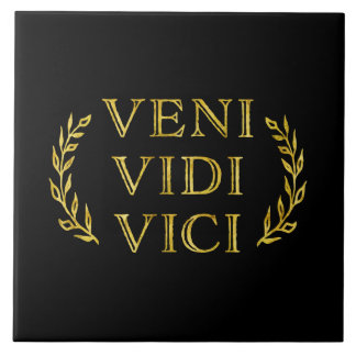 Veni Vidi Vici Funny Game Winner Tile