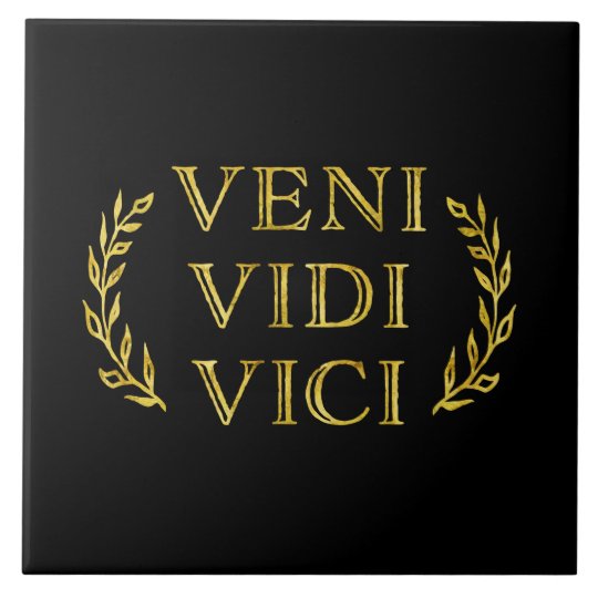 Veni Vidi Vici Funny Game Winner Tile Zazzle Co Uk