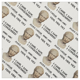 Veni, Vidi, Vici I Came, I Saw, I Conquered Caesar Fabric