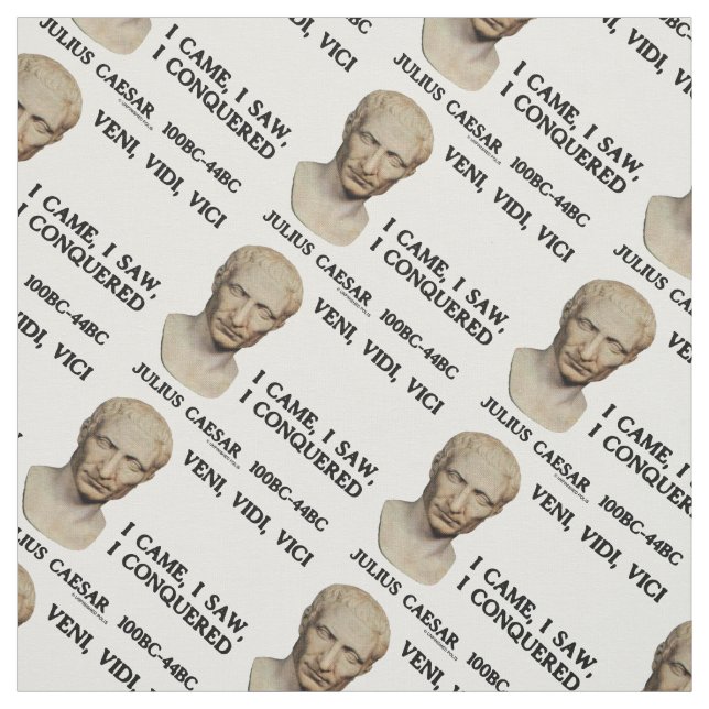 Veni, Vidi, Vici I Came, I Saw, I Conquered Caesar Fabric (Swatch)