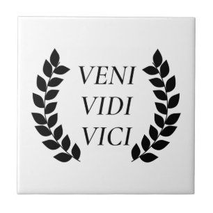 Veni Vidi Vici I Came I Saw I Conquered Tile