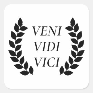 Veni Vidi Vici Square Sticker