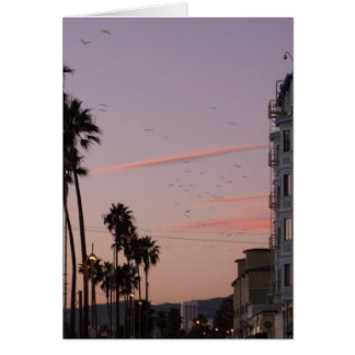 Venice beach