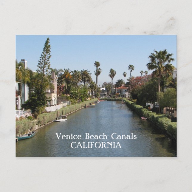 Venice Beach Canals Postcard! Postcard (Front)