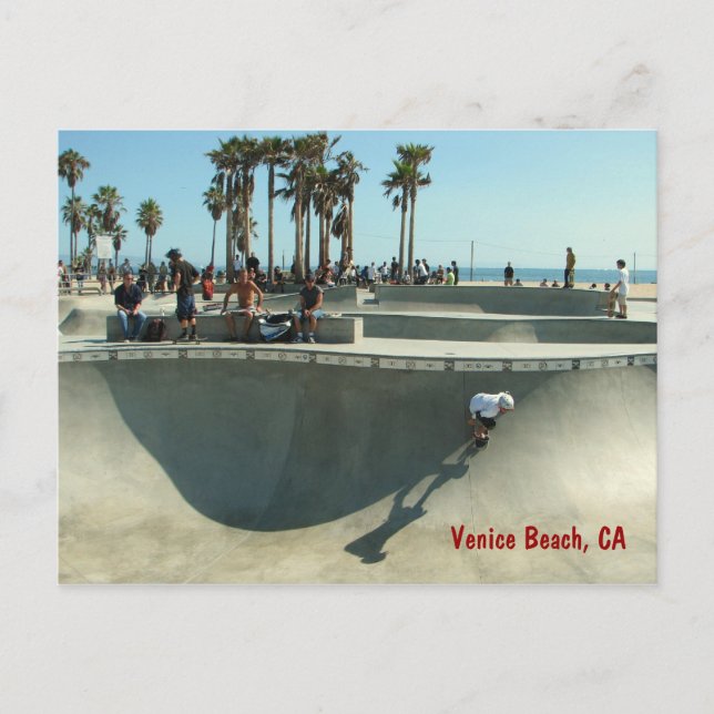 Venice Beach Skateboarding Postcard! Postcard (Front)