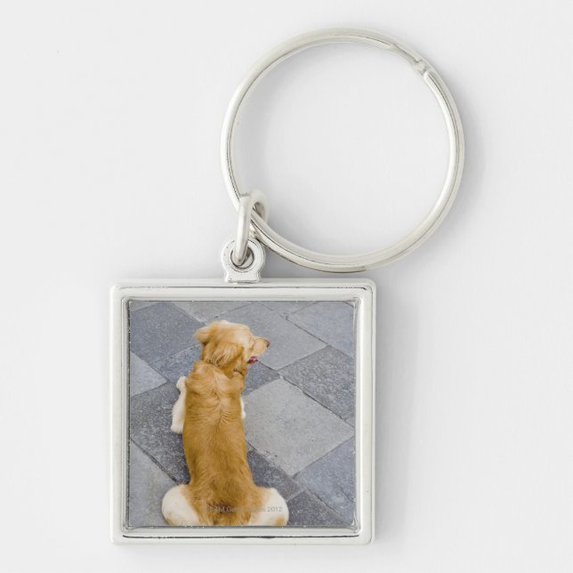 Venice, Italy. Key Ring (Front)
