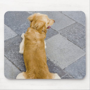 Venice, Italy. Mouse Mat