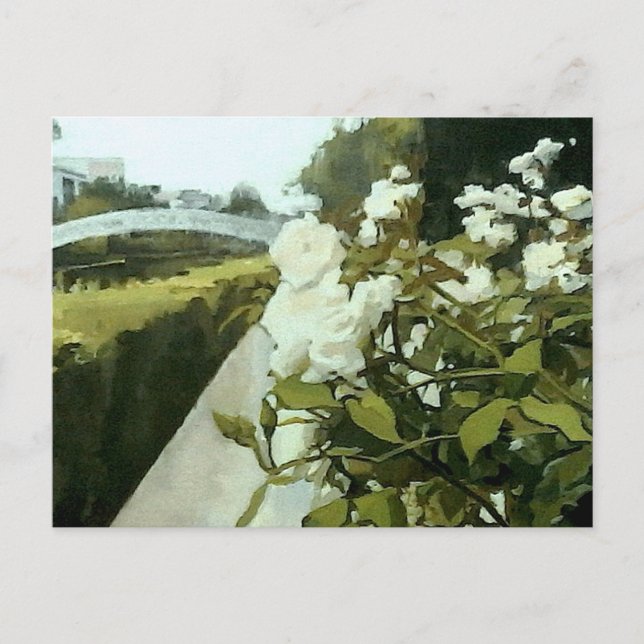 venicecanals roses w/hourglass backing Postcard  (Front)