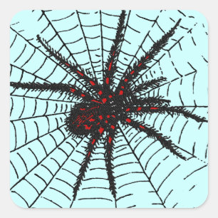 Venomous Black Spider Scary Insect Art Square Sticker