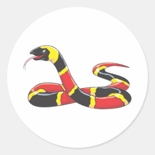 Venomous Eastern Coral Snake Classic Round Sticker
