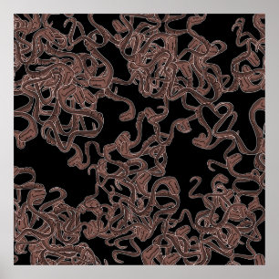 Venomous Elegance  Poster