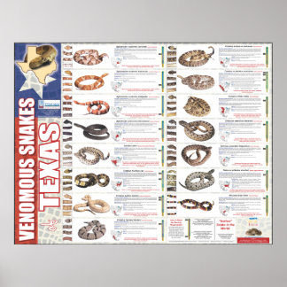 Venomous Snakes of Texas Poser by the NNTRC Poster