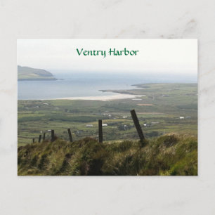 Ventry Harbour, Dingle, Kerry, Ireland Postcard