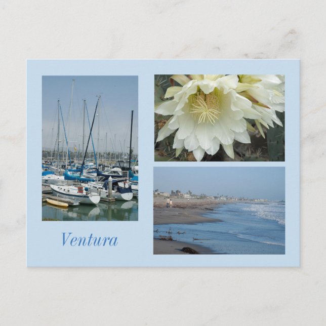 Ventura, CA 3 Photos Template Postcard (Front)