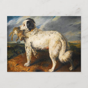 Venus, a Landseer Newfoundland with a Rabbit Postcard